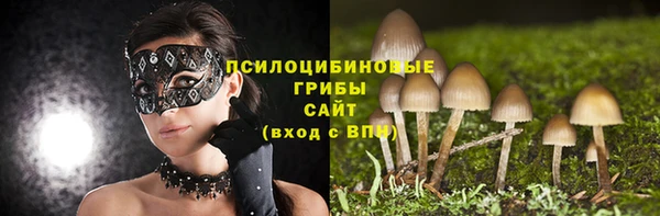 а пвп мука Абаза