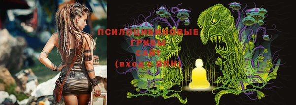 хмурый Абинск