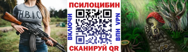 kraken как войти  Таганрог  Галлюциногенные грибы Cubensis 